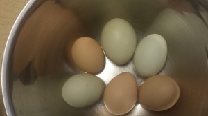 Farm-fresh eggs